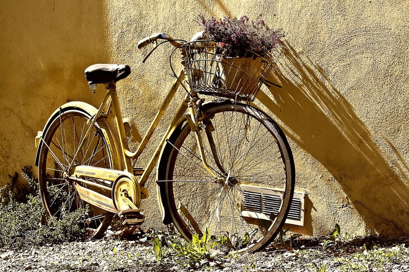 Cycling in the City